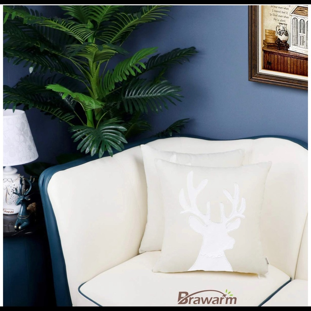 BRAWARM Pack of 2 Cotton Throw Pillow Cover